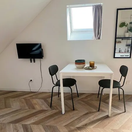 Moderne Avec Jardin Prive Saint-Barthelemy-d'Anjou